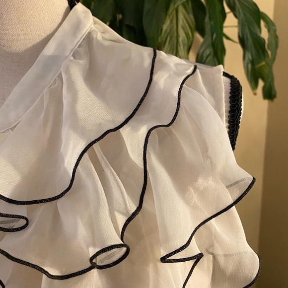 The Limited Sheer Ruffled Blouse - Picture 5 of 10